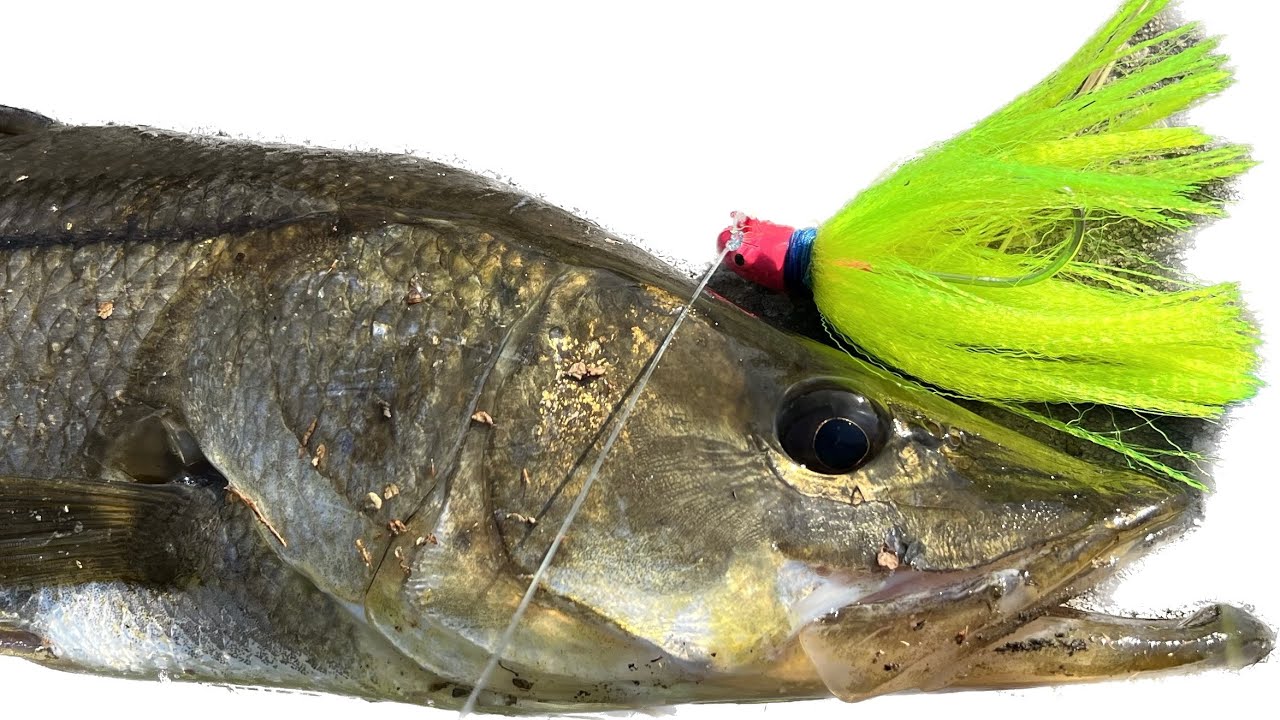 How-To Fish A Flair Hawk Jig (Snook Jig)