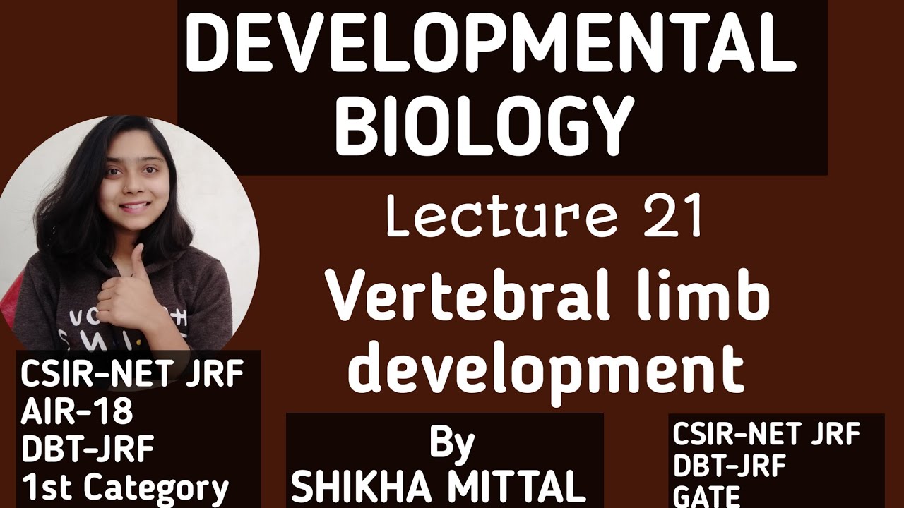 Vertebral limb Development - DEVELOPMENTAL BIOLOGY CSIR-NET JRF LIFESCIENCE