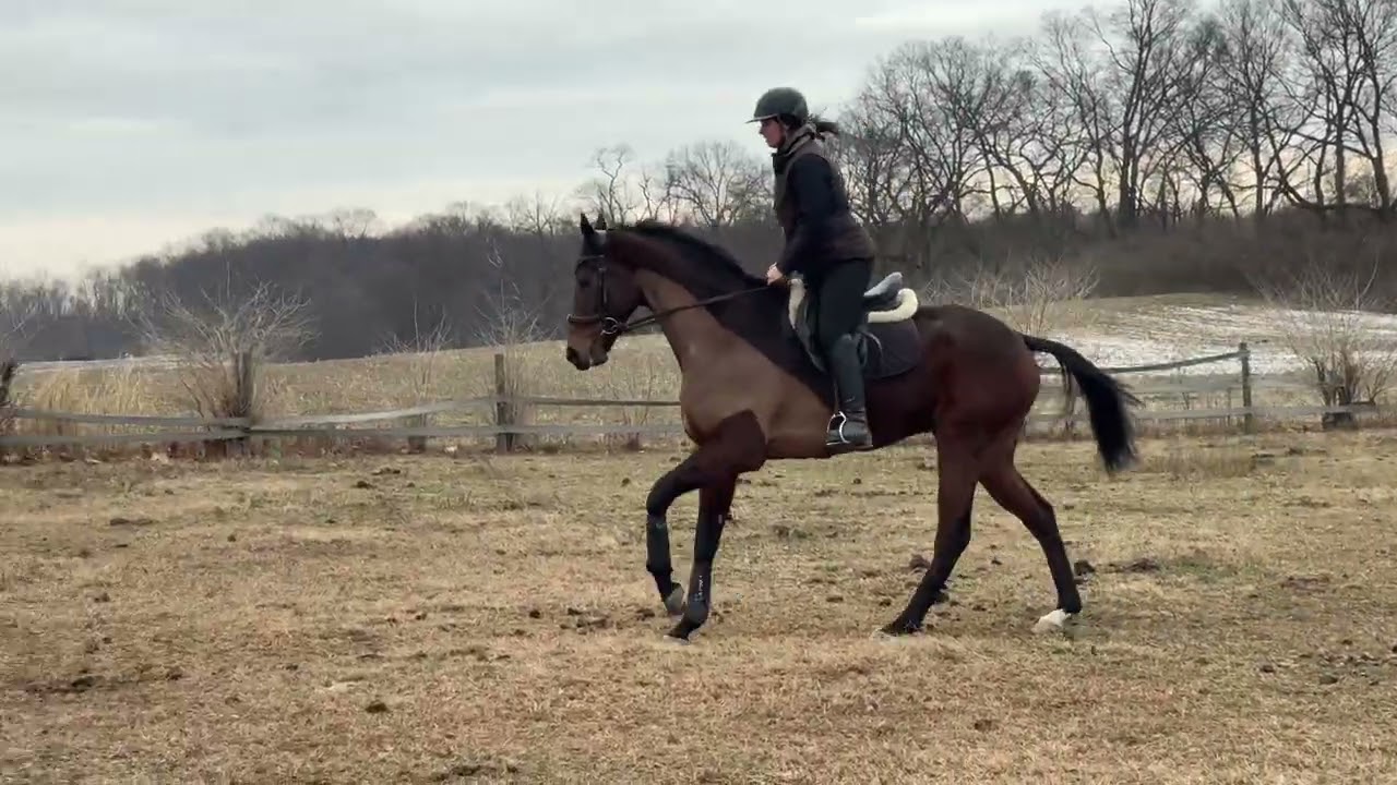 Sheltrfromthestorm 2nd post track ride 