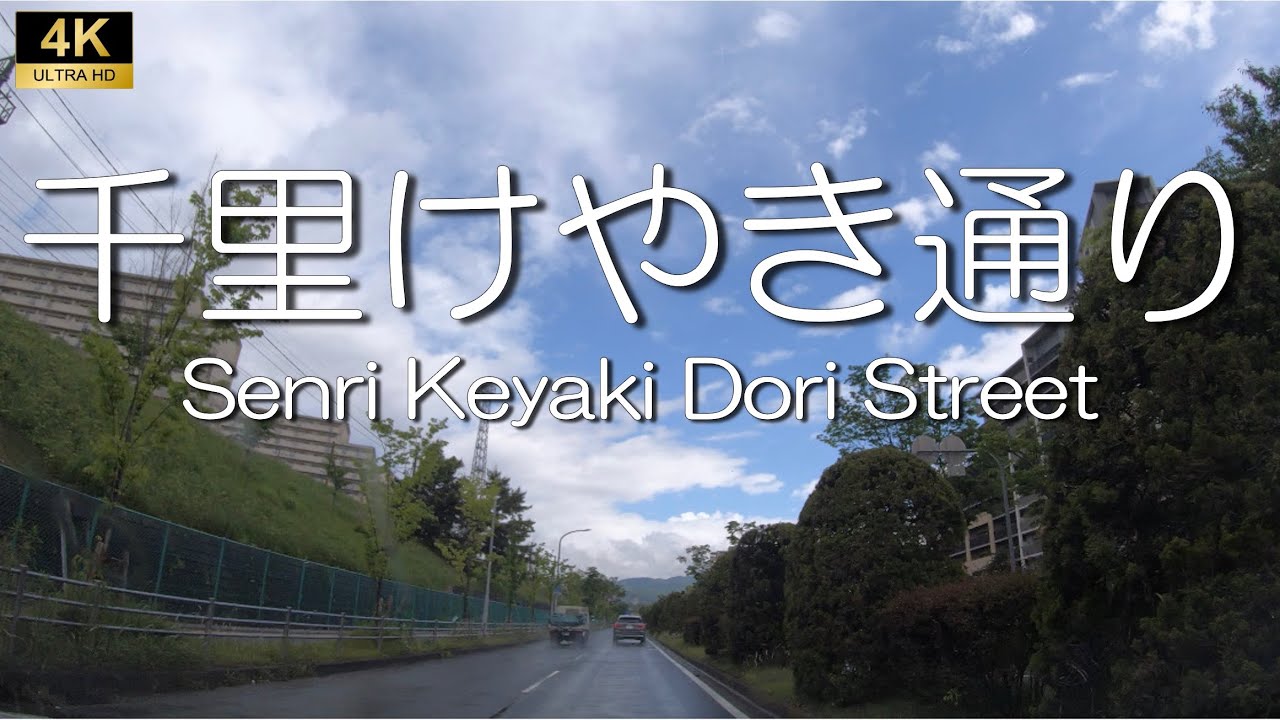 【Suita, Osaka】Senri Keyaki Dori Street.