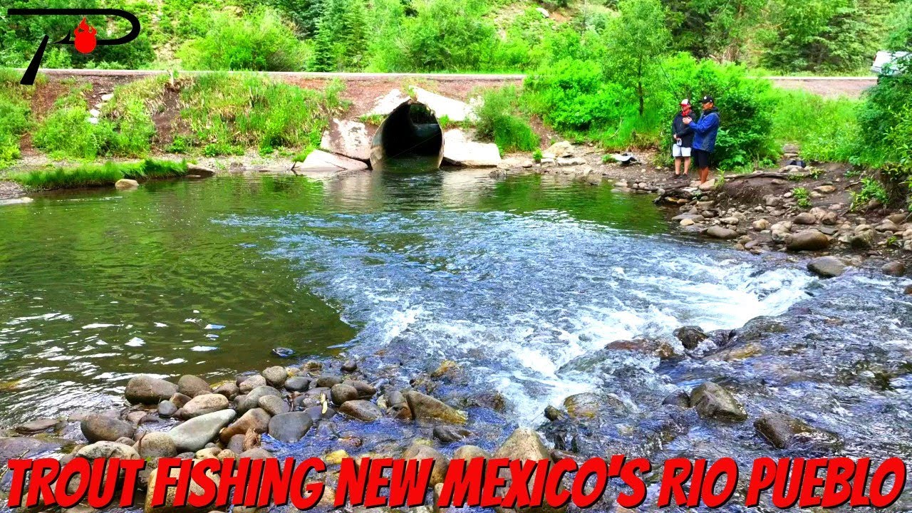 Trout Fishing New Mexico's Rio Pueblo