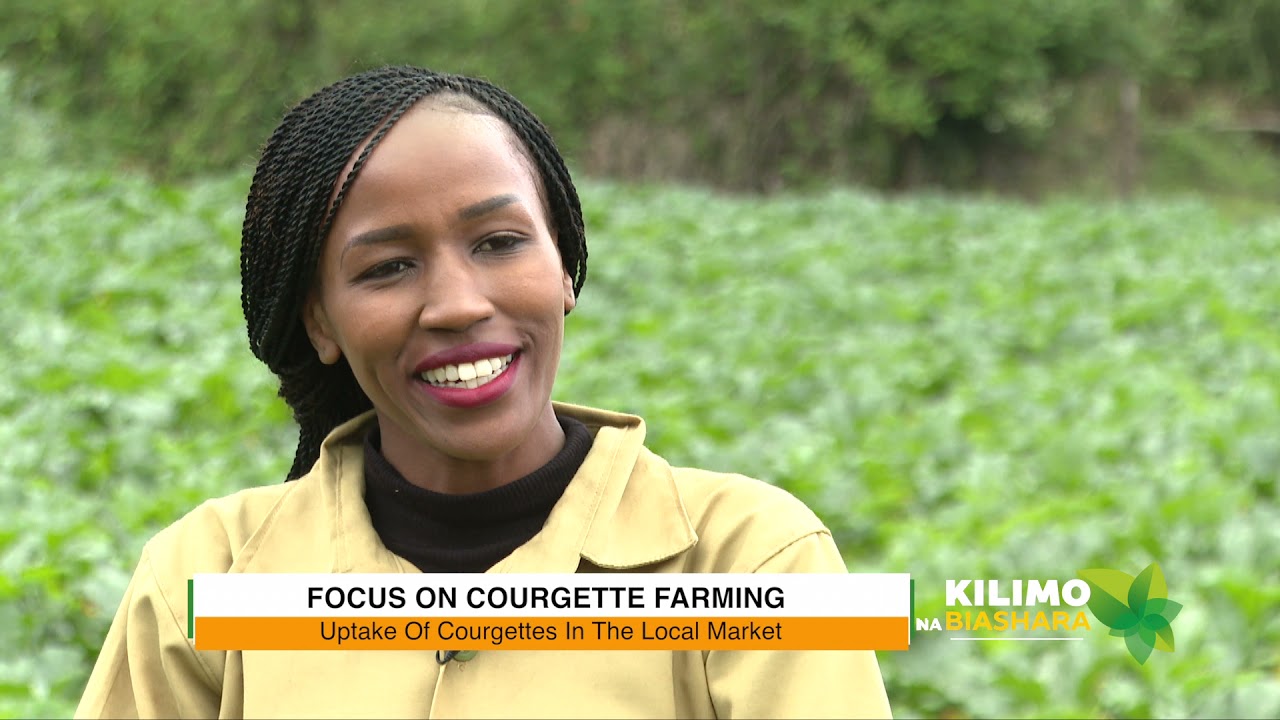 Kilimo na Biashara | Courgette farming