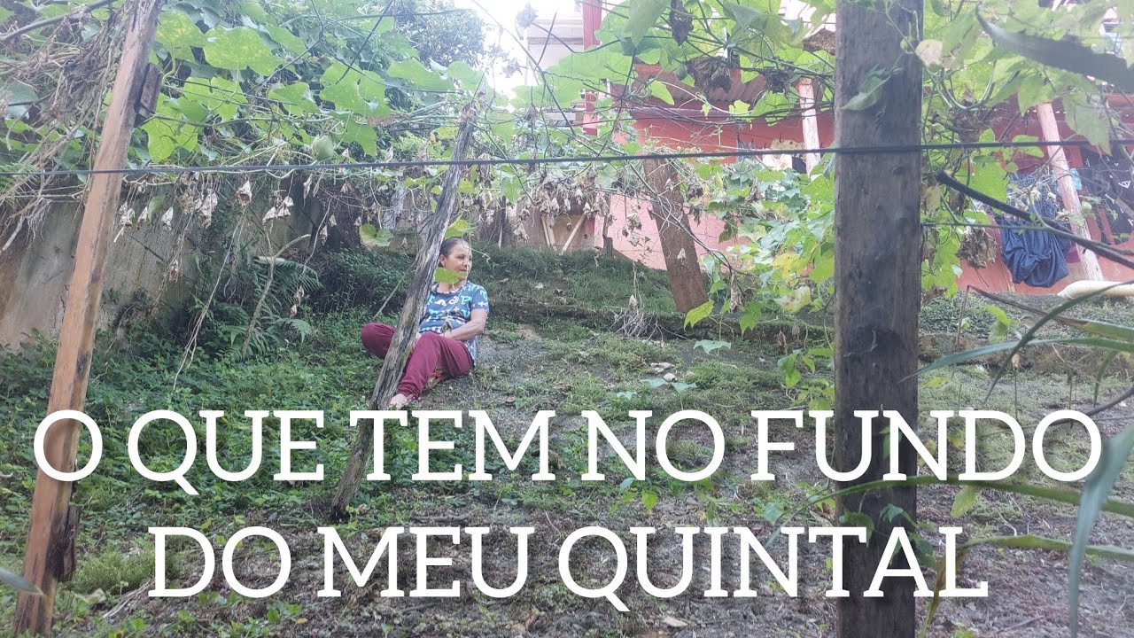 PARTE 2 DO QUE TEM NO FUNDO DO MEU QUINTAL