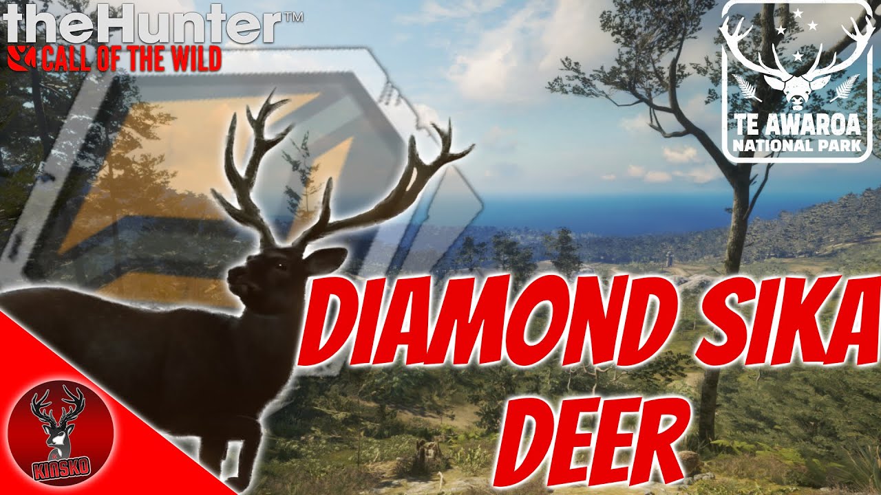 Diamond Sika + 4 Diamonds With A Bow And 2 Piebalds At 1 Lake: Thehunter Call Of The Wild