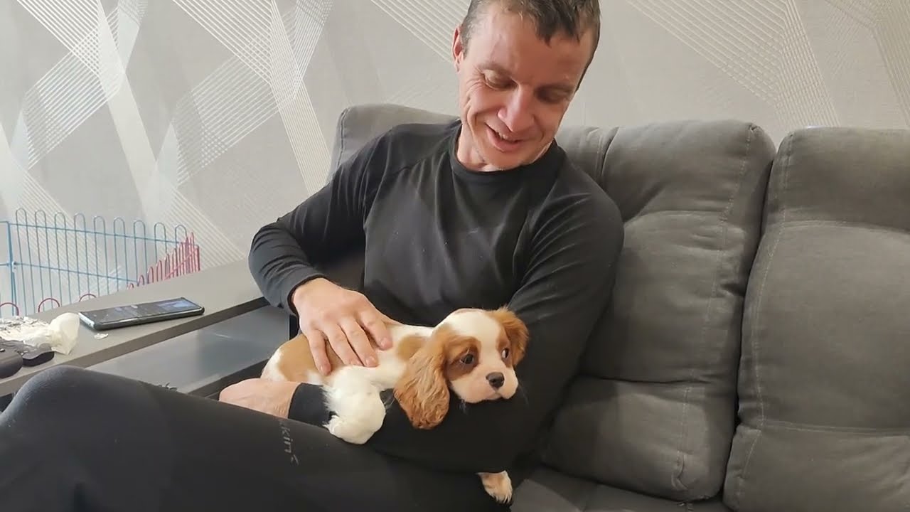 Мы купили щенка Кавалер Кинг Чарльз Спаниель 🐕 Первый поход к врачу