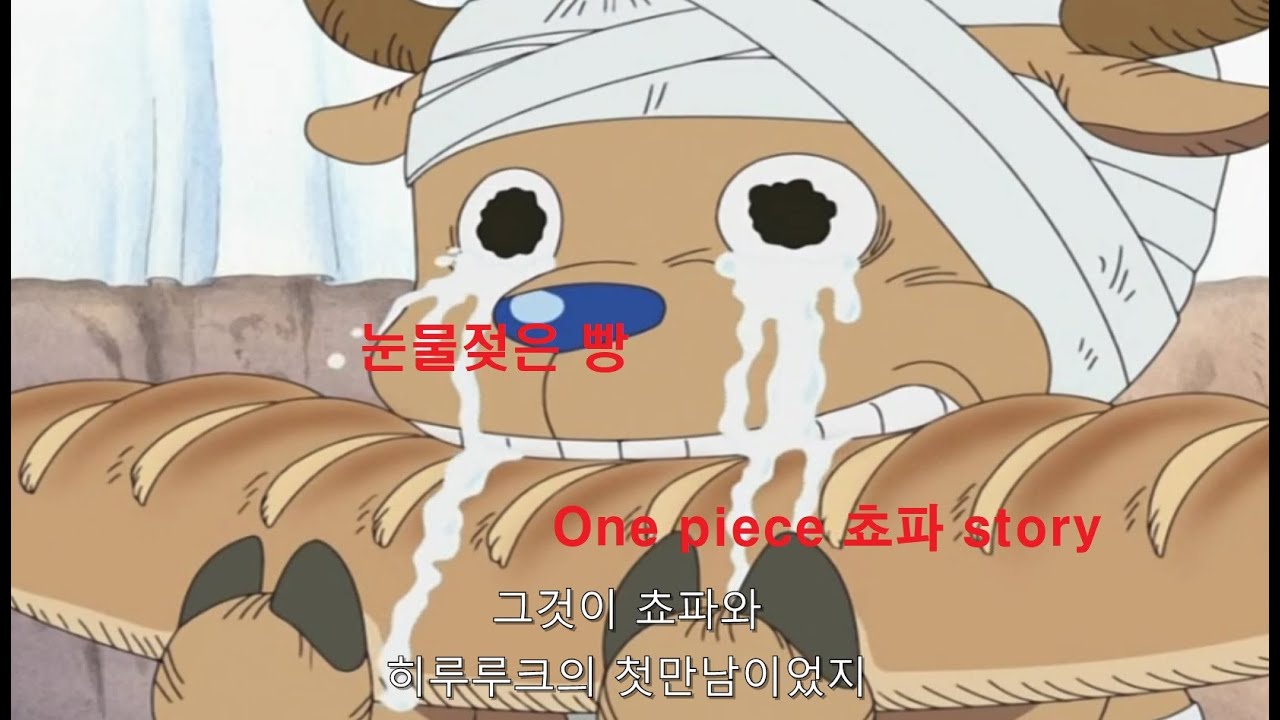 쵸파 과거 풀 스토리. 쵸파가 의사가 된 이유. [사람이 언제 죽는다고 생각하나?]