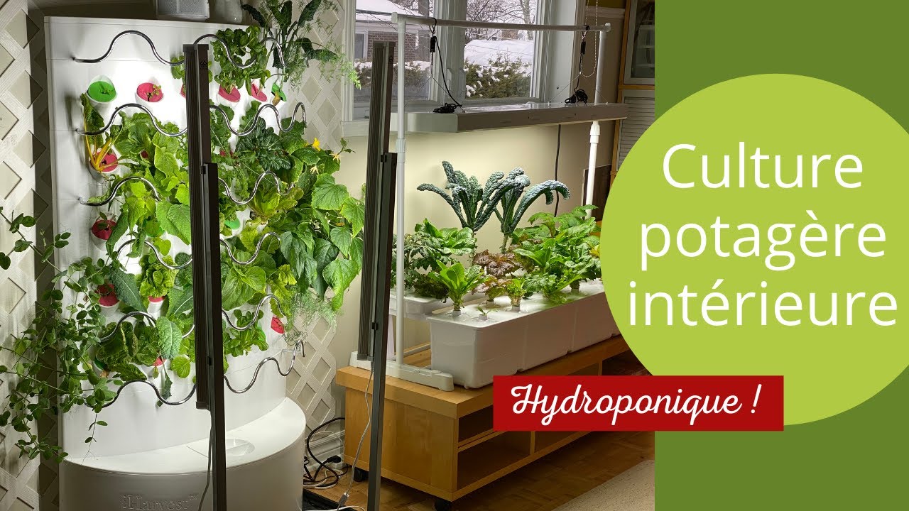 Culture potagère hydroponique intérieure -iHarvest-Aerogarden-Eden garden-