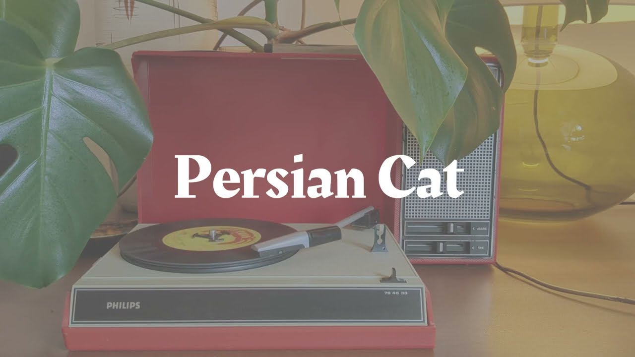 The EASY SNAPPERS - Persian Cat Ska