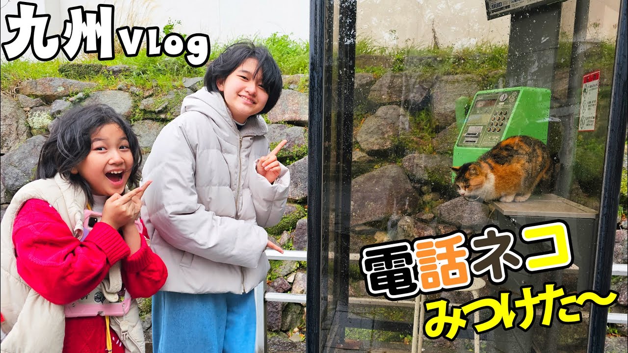 春休み家族旅行で電話猫見つけた！！九州旅行4泊5日Vlog himawari-CH