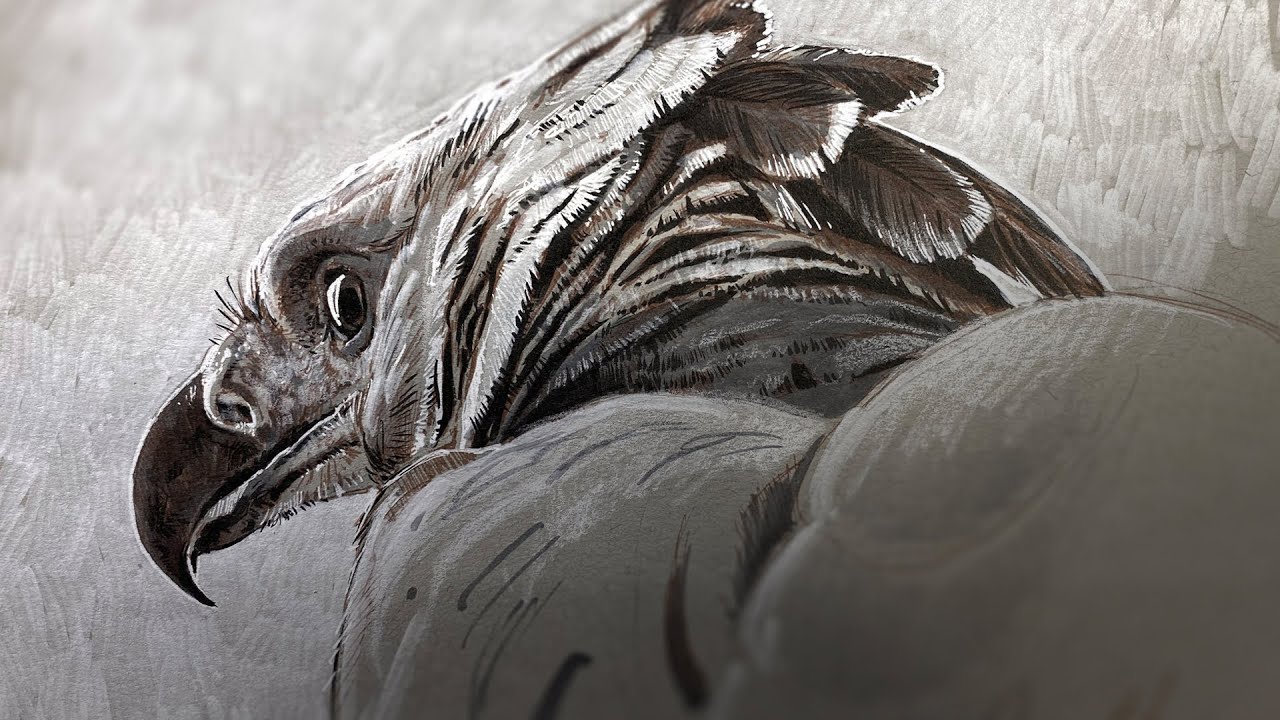 Live Stream - Pen & Ink Drawing!