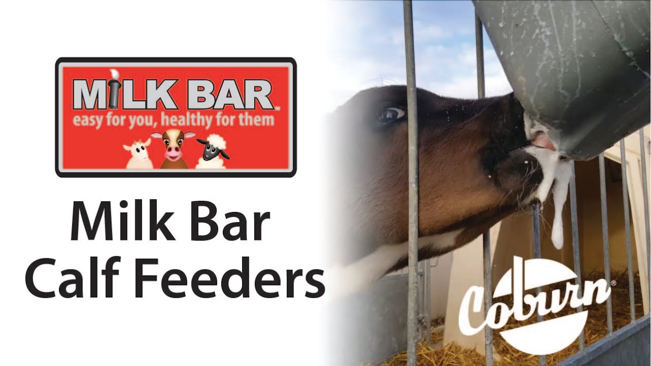 Milk Bar Calf Feeders