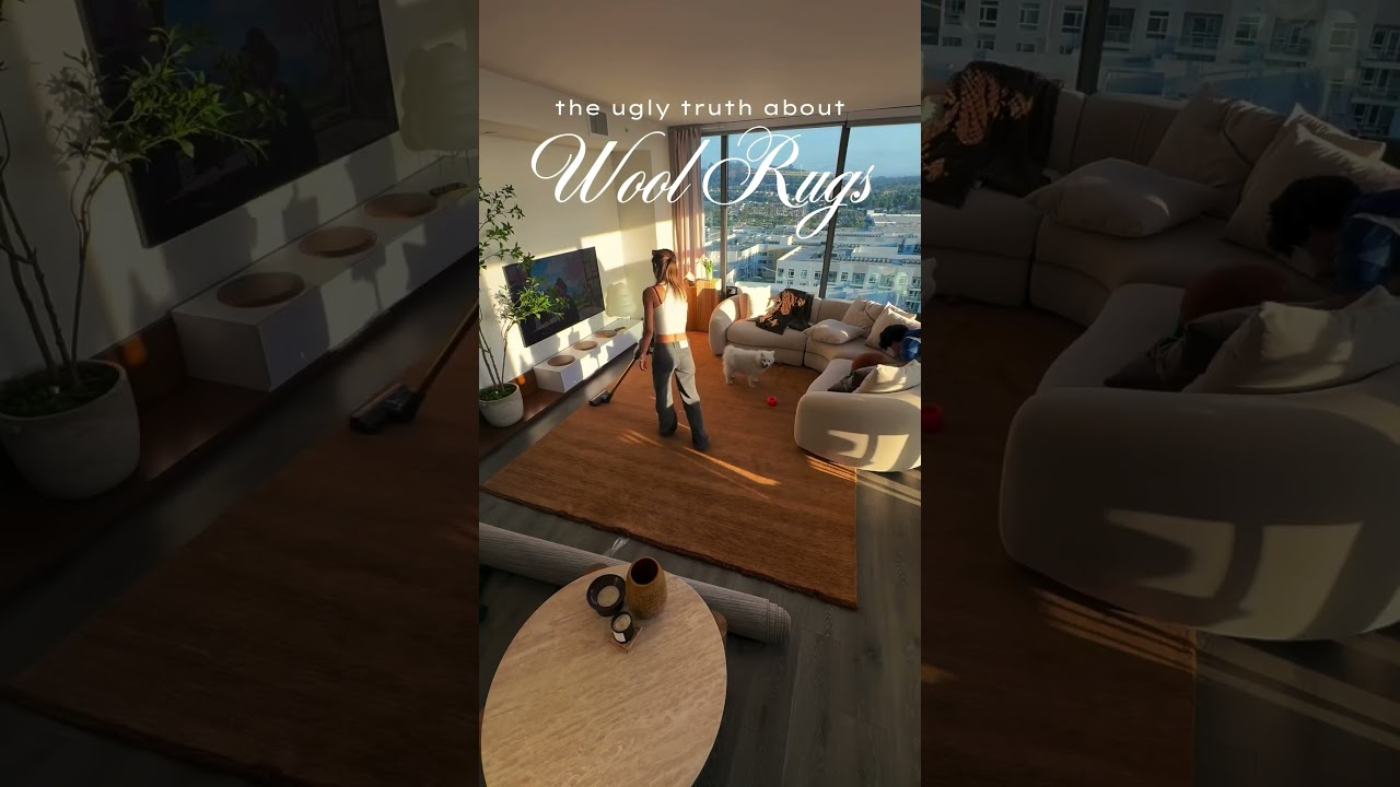 Cleaning a wool rug? It's like herding cats! 🐱🧹 #woolrugs #cleaning #struggle