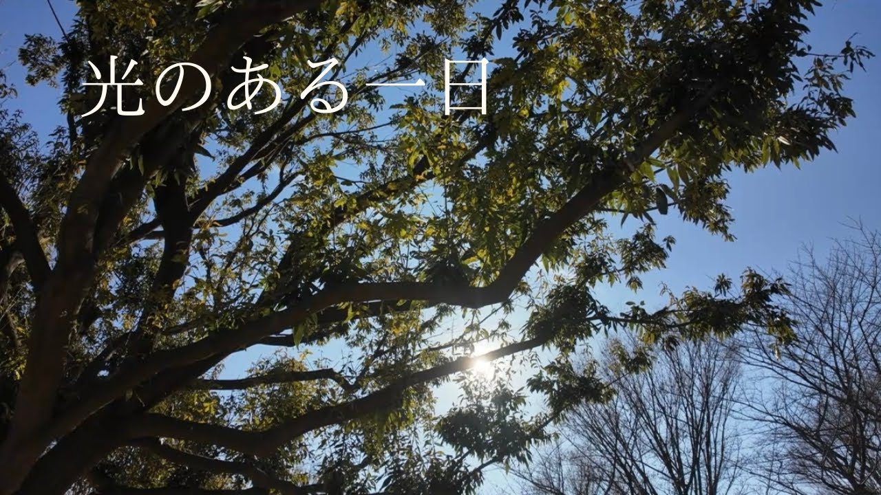 「森と水に癒される、静かな休日」