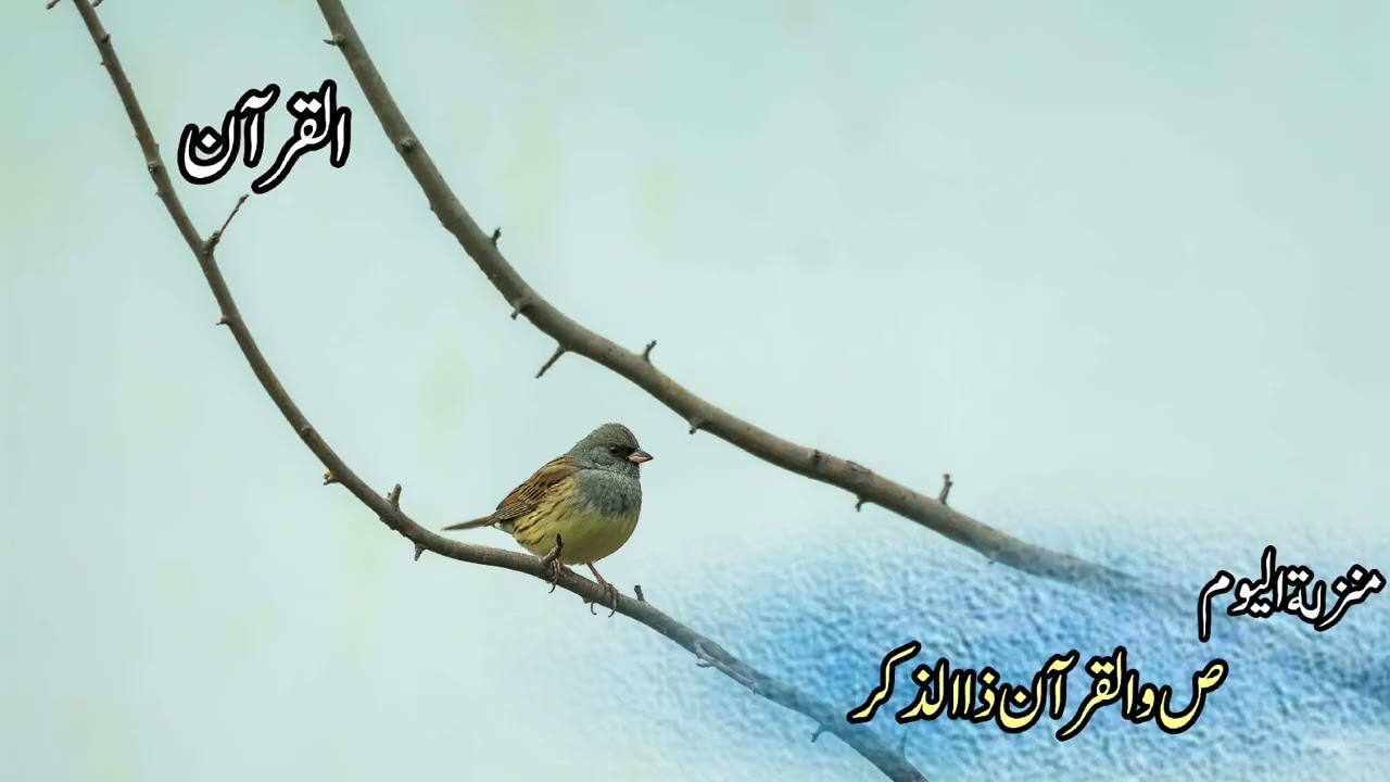 #القرآن#الرحمن