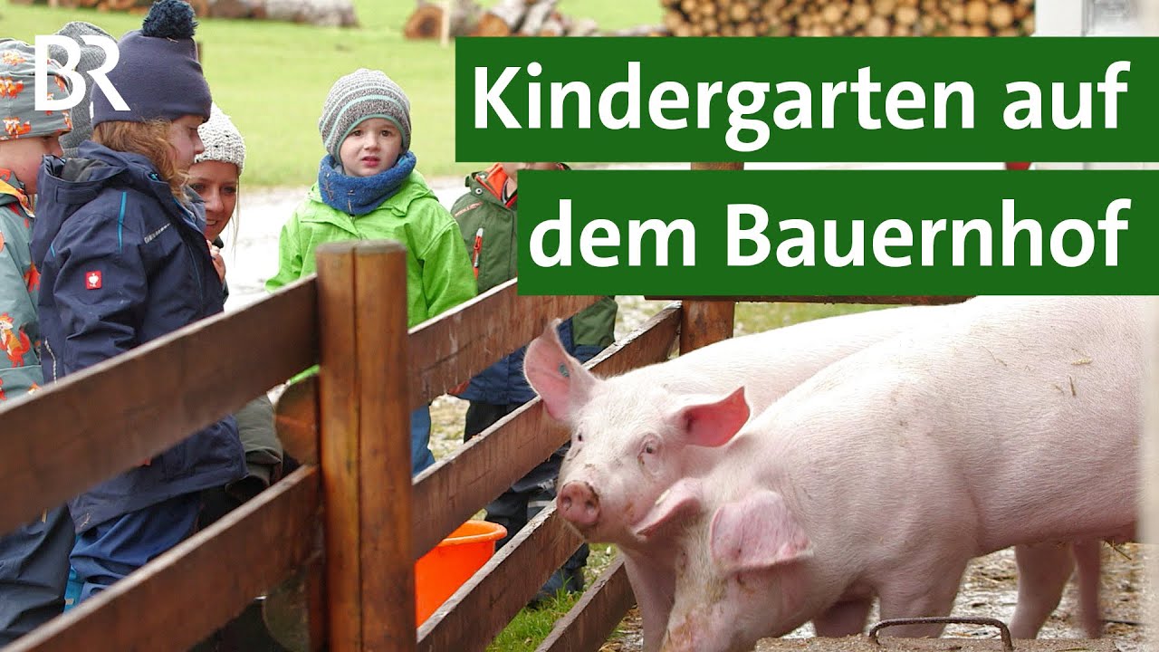 Bauernhof Doku: Kindergarten auf dem Bauernhof gewinnt Wettbewerb | Unser Land | BR