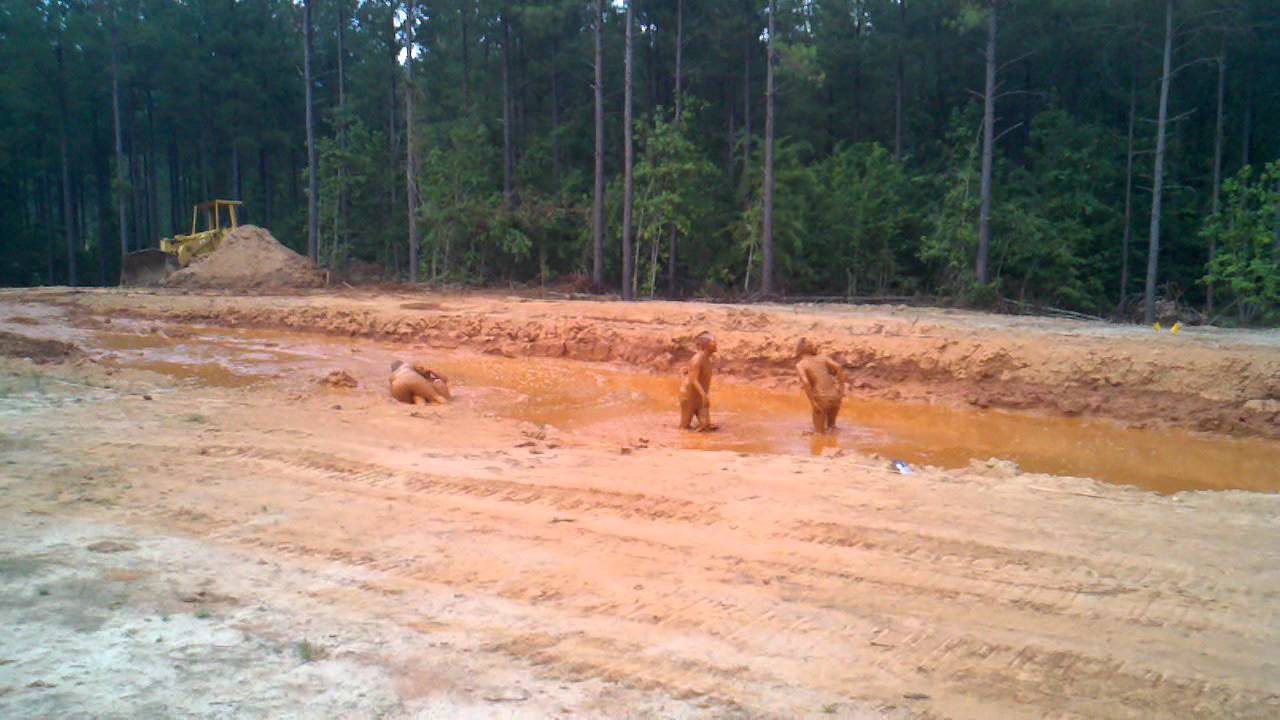 Woman Mud Wrestling