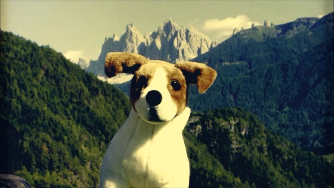 Sepp Messner Windschnur - Mei Hund und I