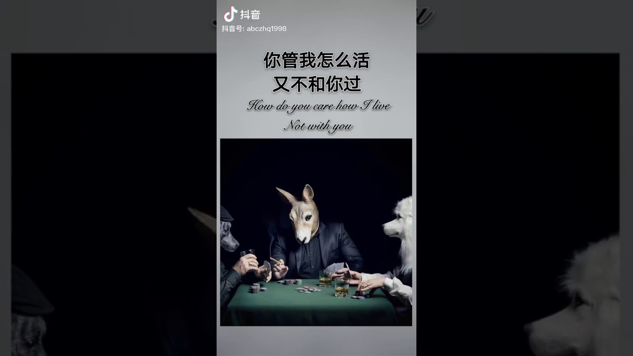 走过！路过！千万别错过这些精彩语录，更多语录等你来看