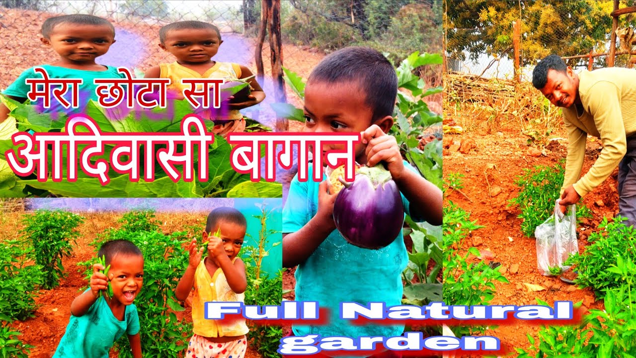 मेरा छोटा सा बागान /My small garden || garden video ||#hermanhembram8068 