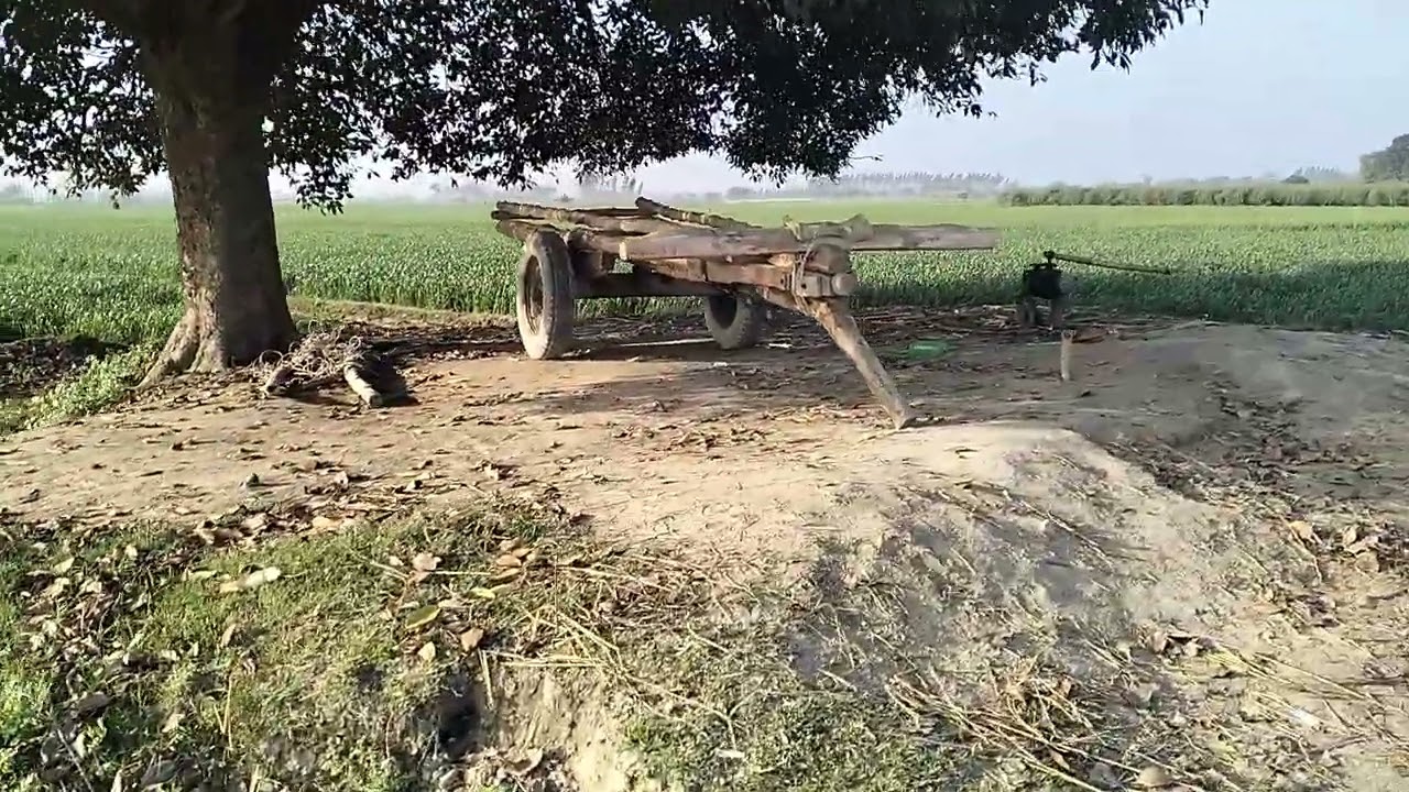 200 बीघा जमीन बिकाऊ है 16 लाख रुपया एकड़ मांग है जिस भाई को लेना है संपर्क करें 8090291079