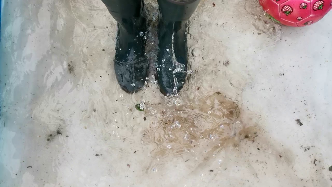 Wellies Aigle