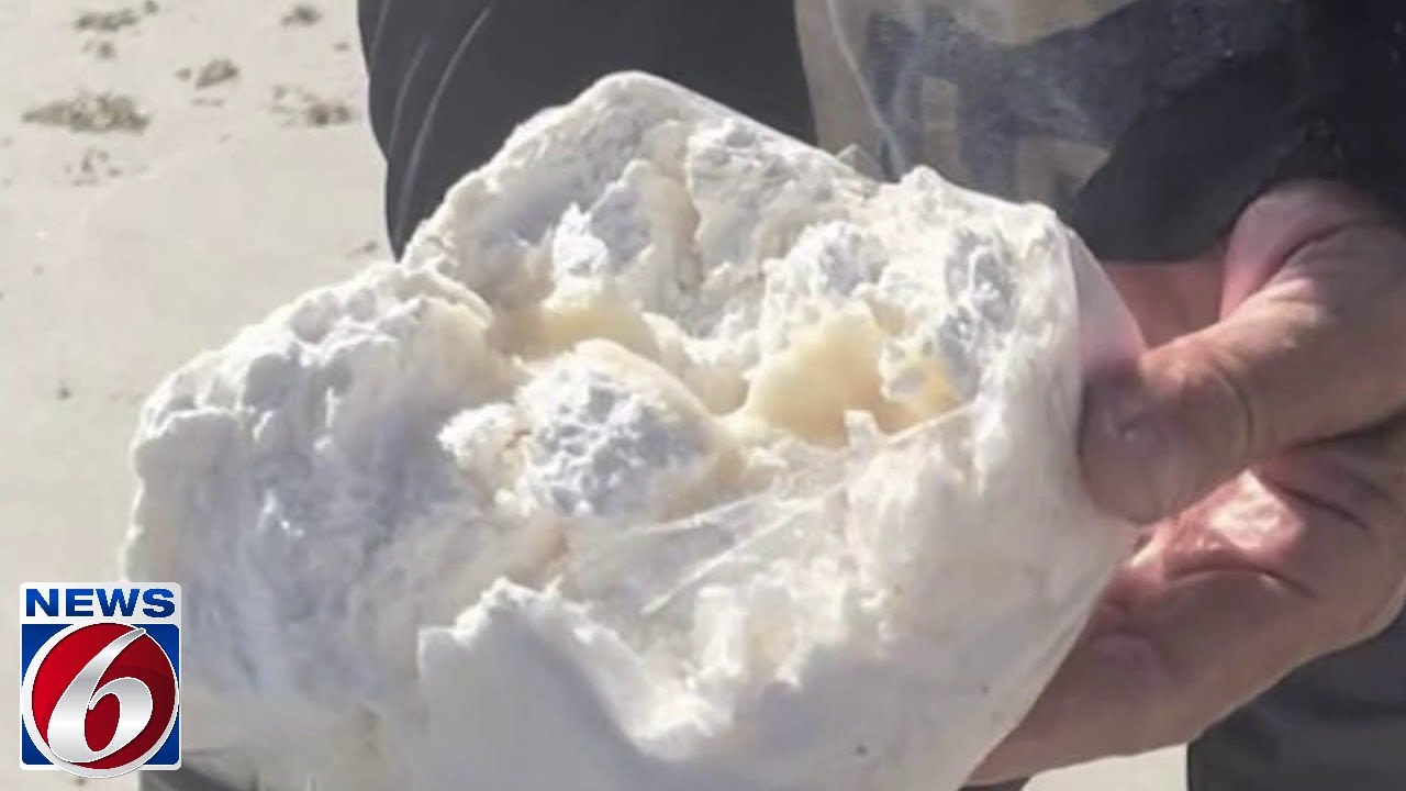 Cocaine found washed up on shore in Ormond Beach