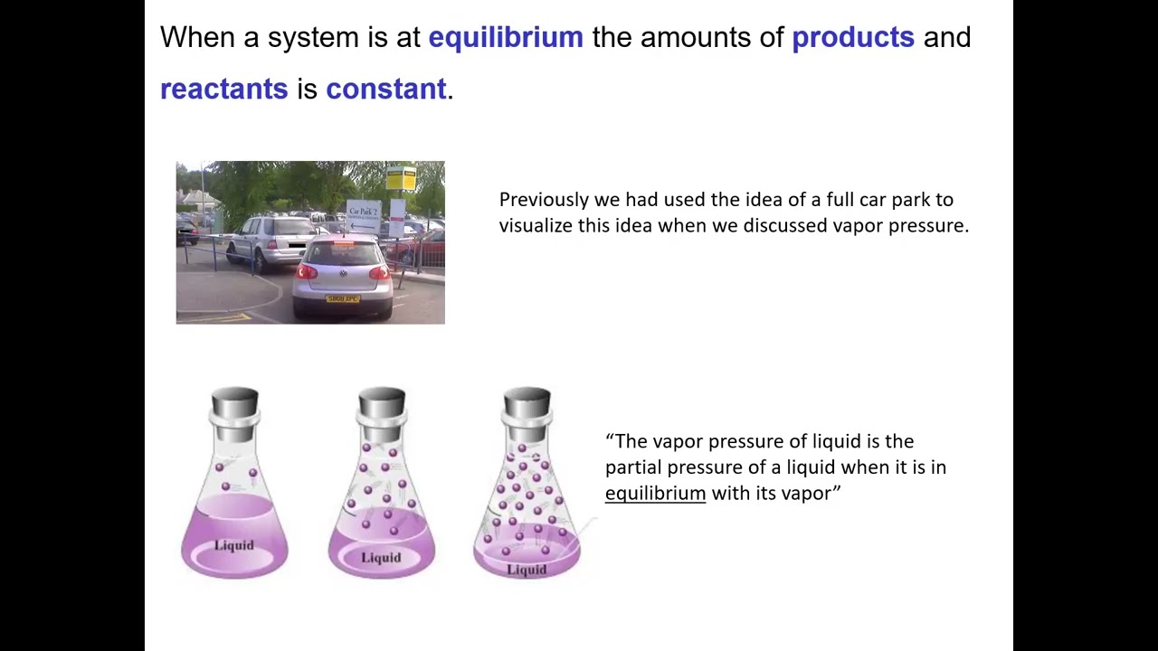 Chem 163 Section 13.1