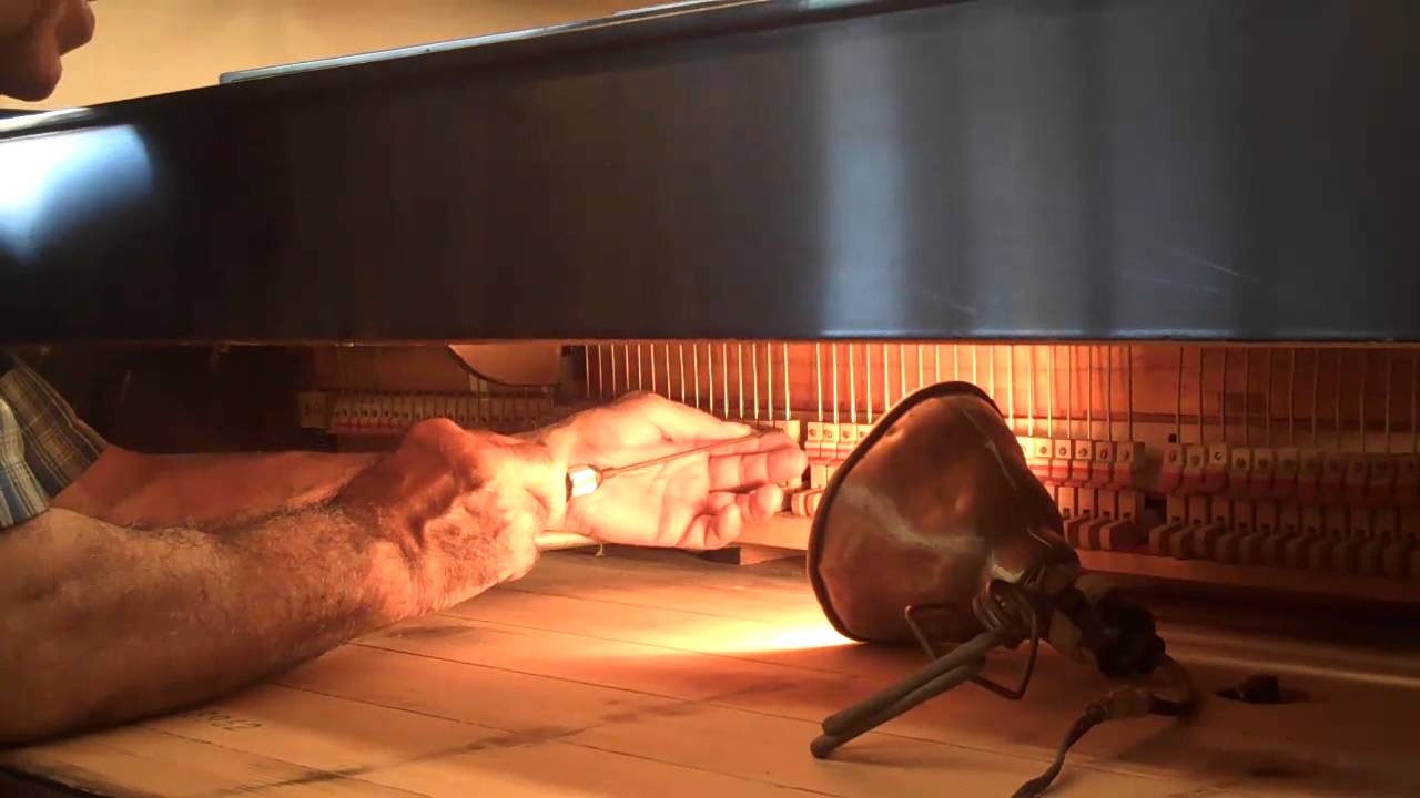 Adjusting the Damper Regulation on a Steinway Model D