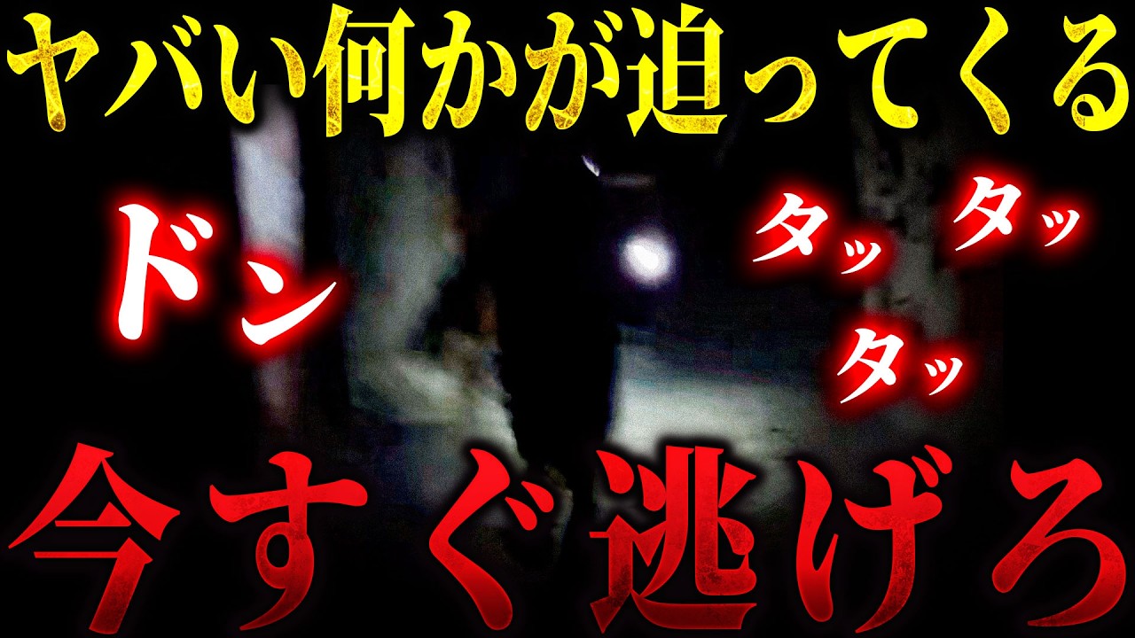 【心霊コラボ】ヤバい今すぐ逃げろ... ここには「異常者」が潜んでいる【リーダー&times;日本一ビビリの山ちゃん】