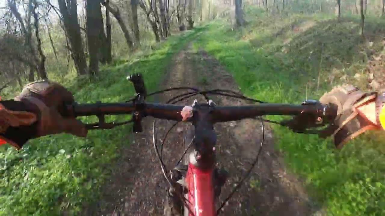 Schwinn Axum Comp X...Ohiopyle State Park