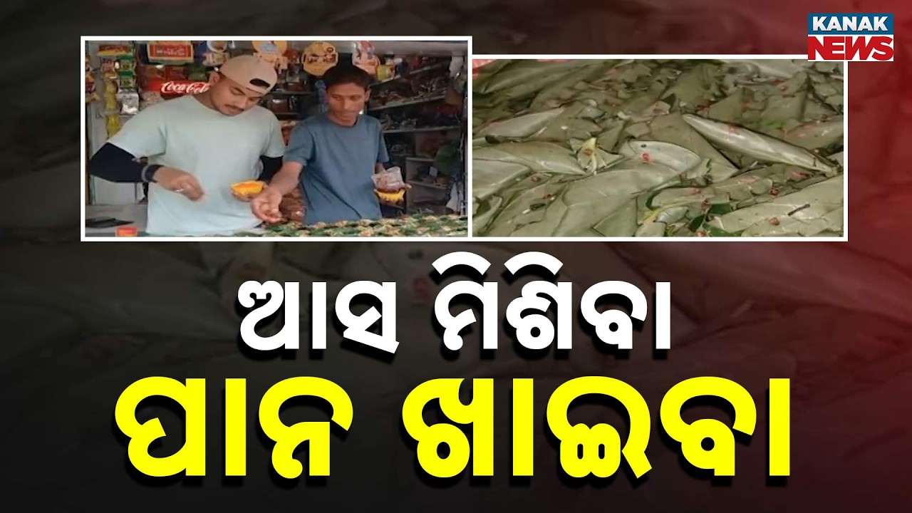 Raja Festival & The Magic of Paan: Why Odisha's Raja is Incomplete Without It!