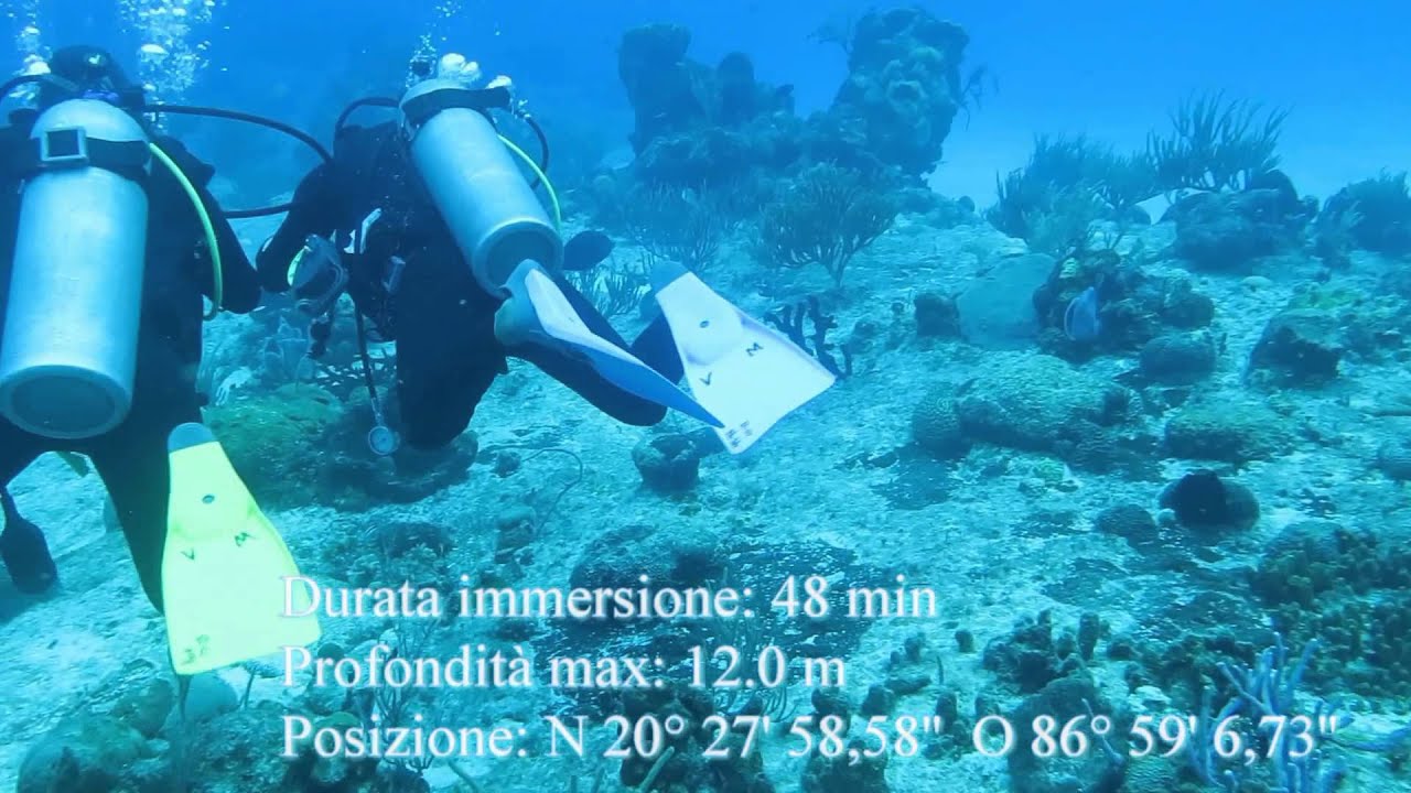 Immersione subacquea barriera corallina isola cozumel mexico