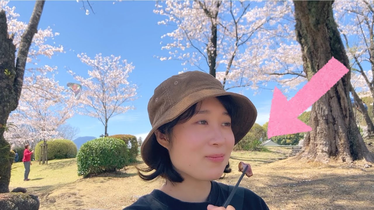 おいしすぎて移住先候補の1つに。宮崎県小林市グルメ！【九州一周】