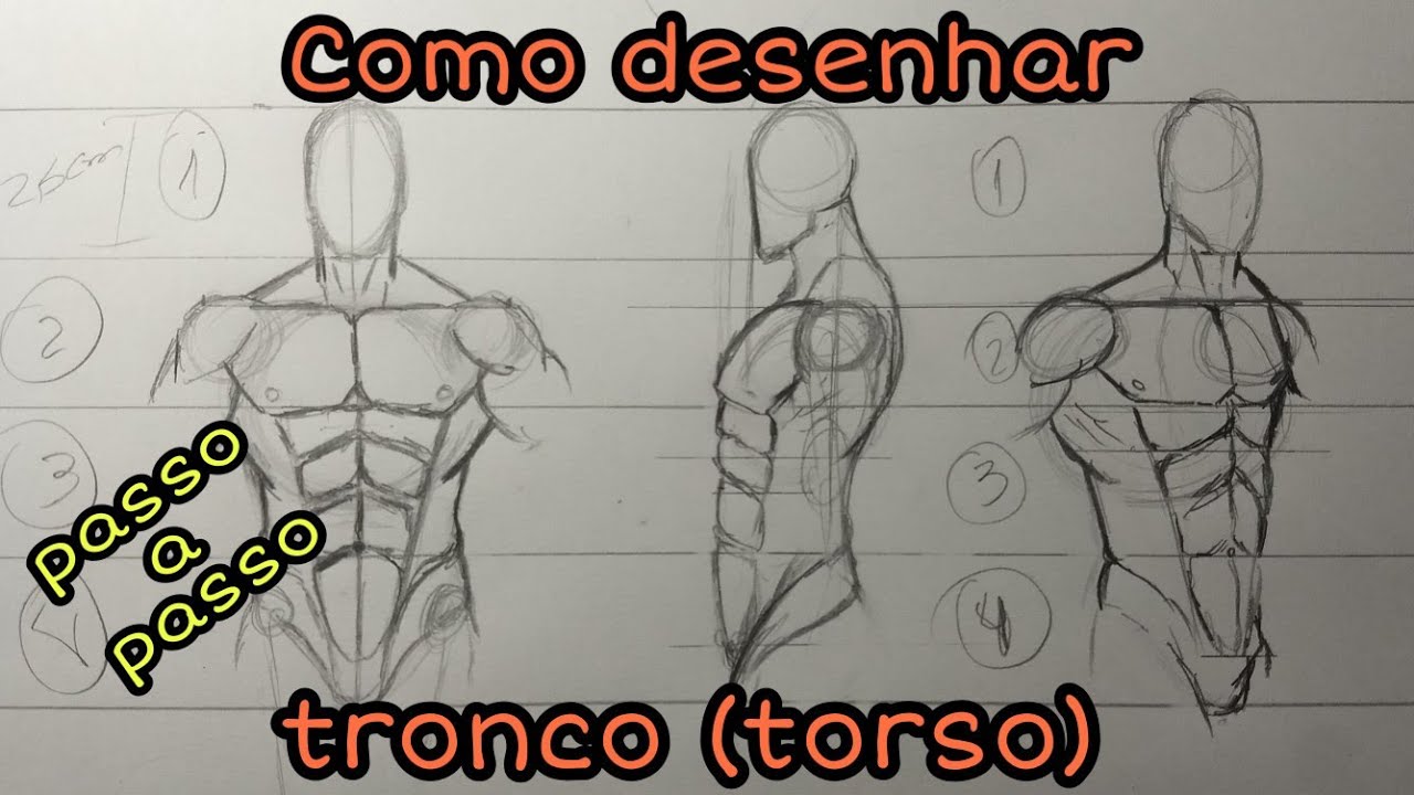 Como desenhar tronco (torso) passo a passo