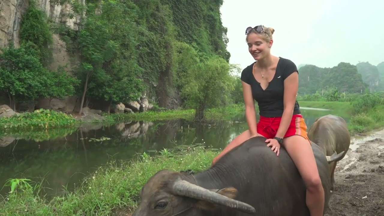 Video giới thiệu về Buffalo Cave!