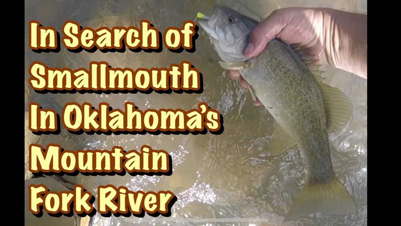 In Search of Smallmouth in Oklahoma’s Mountain Fork River #smallmouthbass #oklahoma