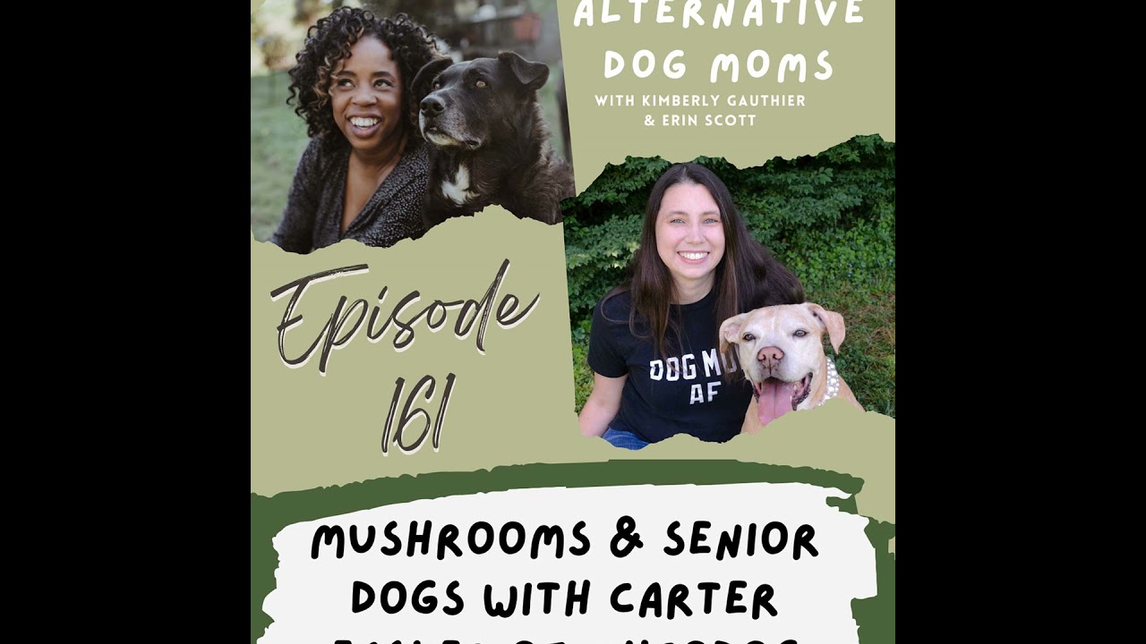 How Functional Mushrooms Support Senior Dogs: Insights from MycoDog’s Carter Easler