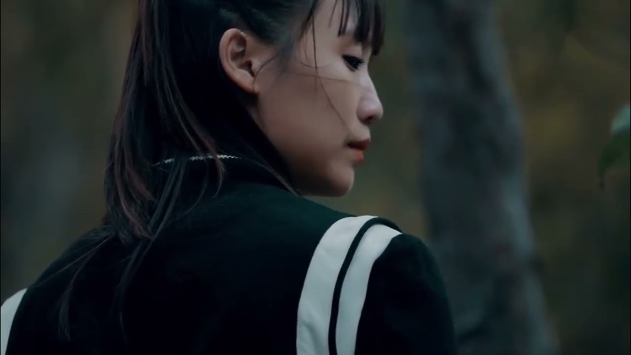 刘小绵 - 尽你英雄意 MV