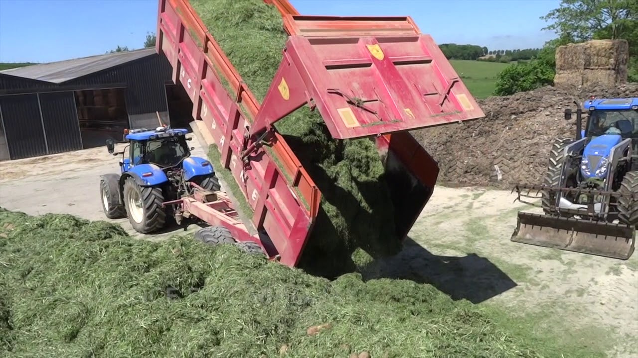 Actu Elevage Somme - L'ensilage d'herbe avec de la pomme de terre