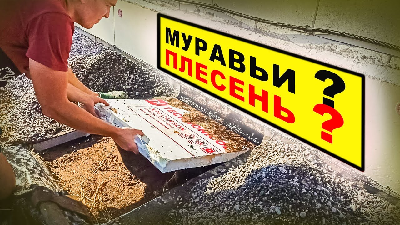 Вскрыл утепленную отмостку, чтобы объяснить ее необходимость(Муравьи? Плесень? Что с температурой?).