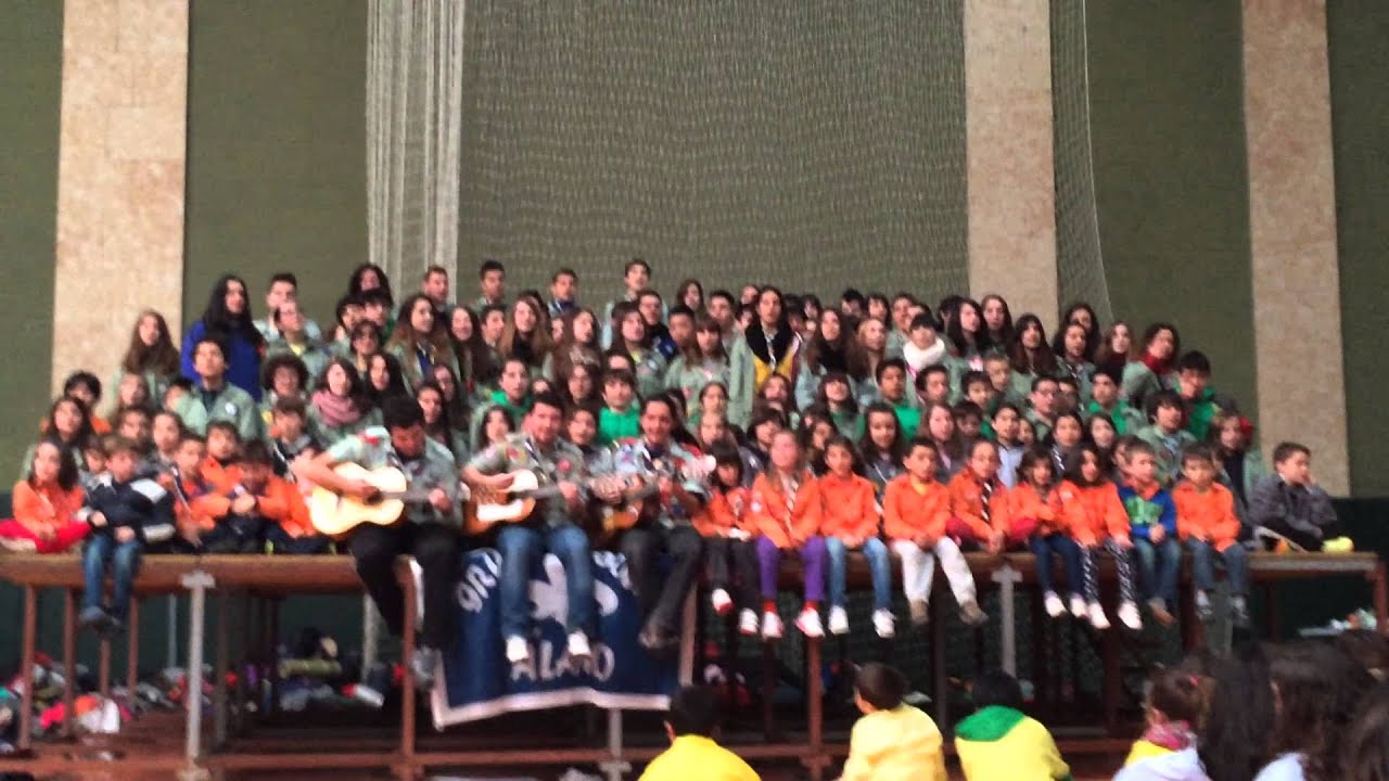 Grupo Scout Álamo II Festicamp