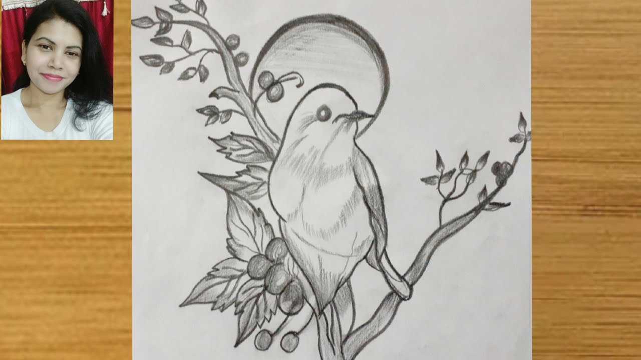 How to Draw a Bird | Sparrow Drawing tutorial | Pencil Sketch Bird Drawing Step by Step | #Bird