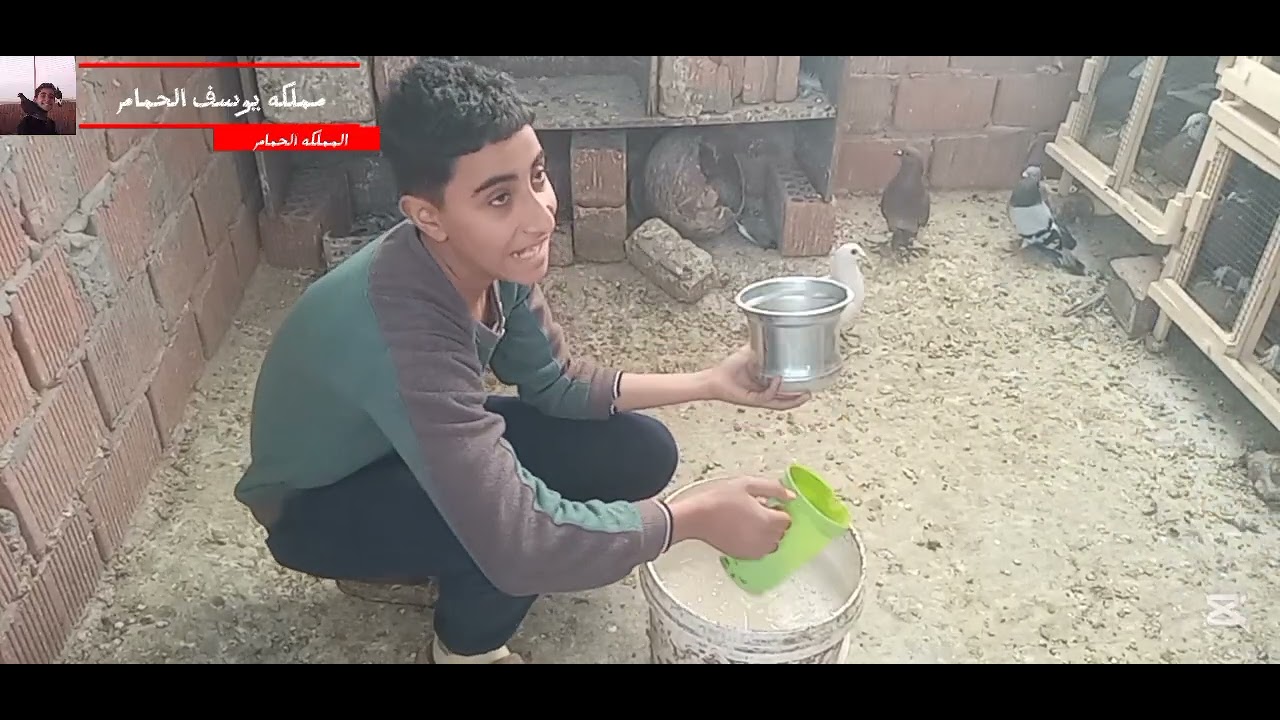 ​ليه لازم تحط خميرة للحمام؟ (جولة يومية وروتين العناية). 