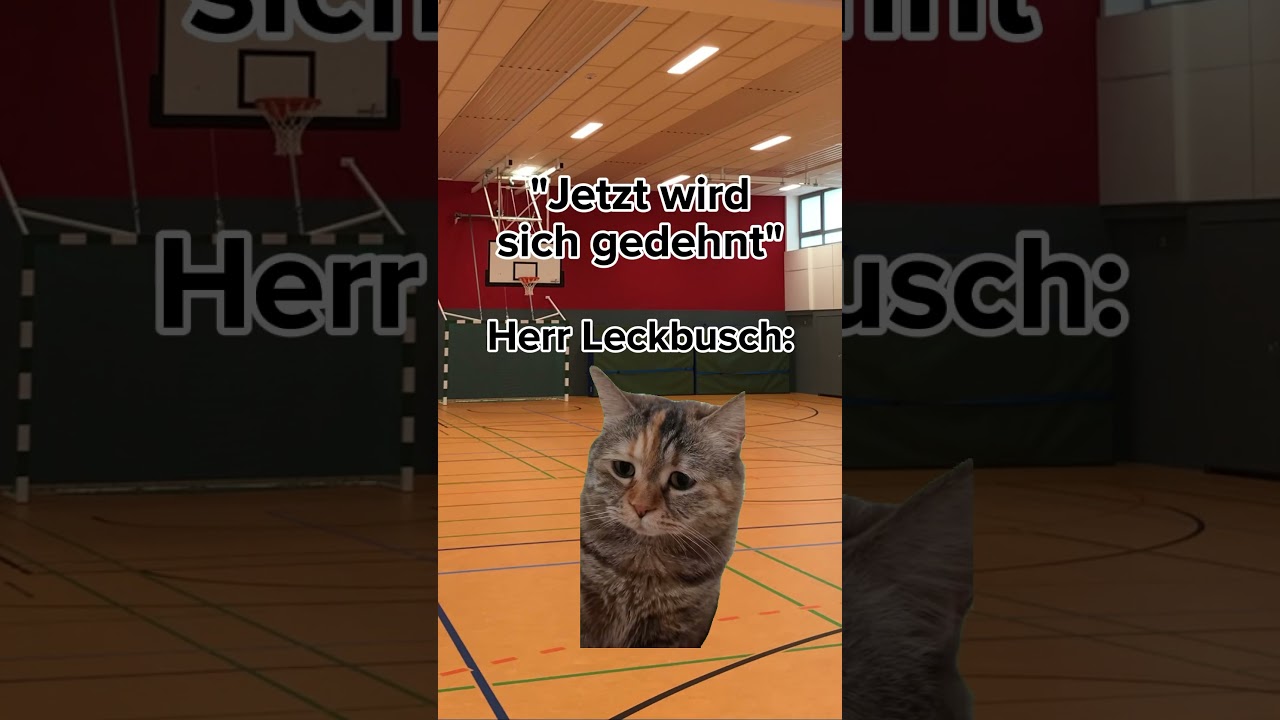 POV: Du hast diesen SUSI Sportlehrer🤨 | #povcat #povdog #relatable #schule #schulsport