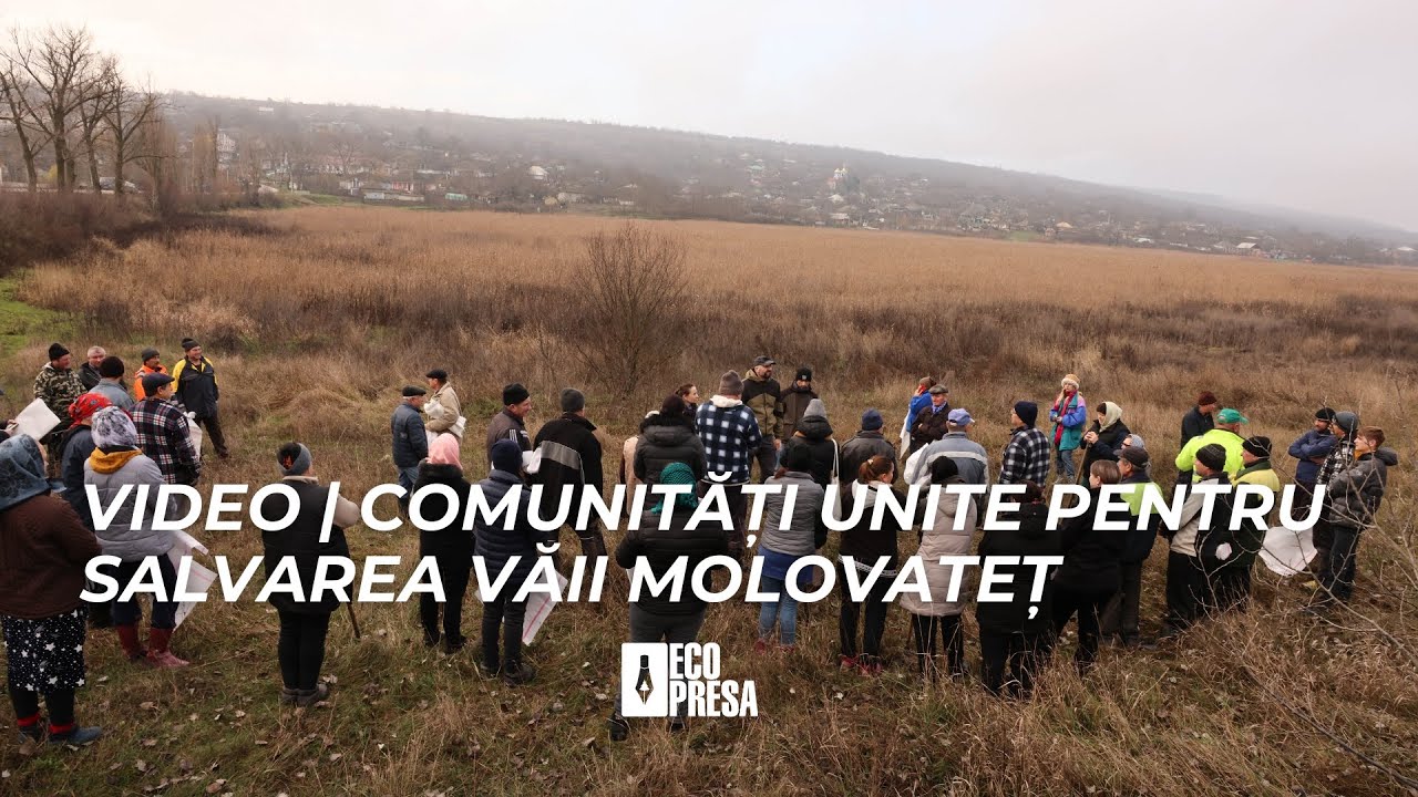 VIDEO | Comunități unite pentru salvarea văii Molovateț