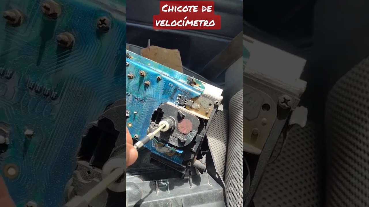 Chicote de veloc&iacute;metro