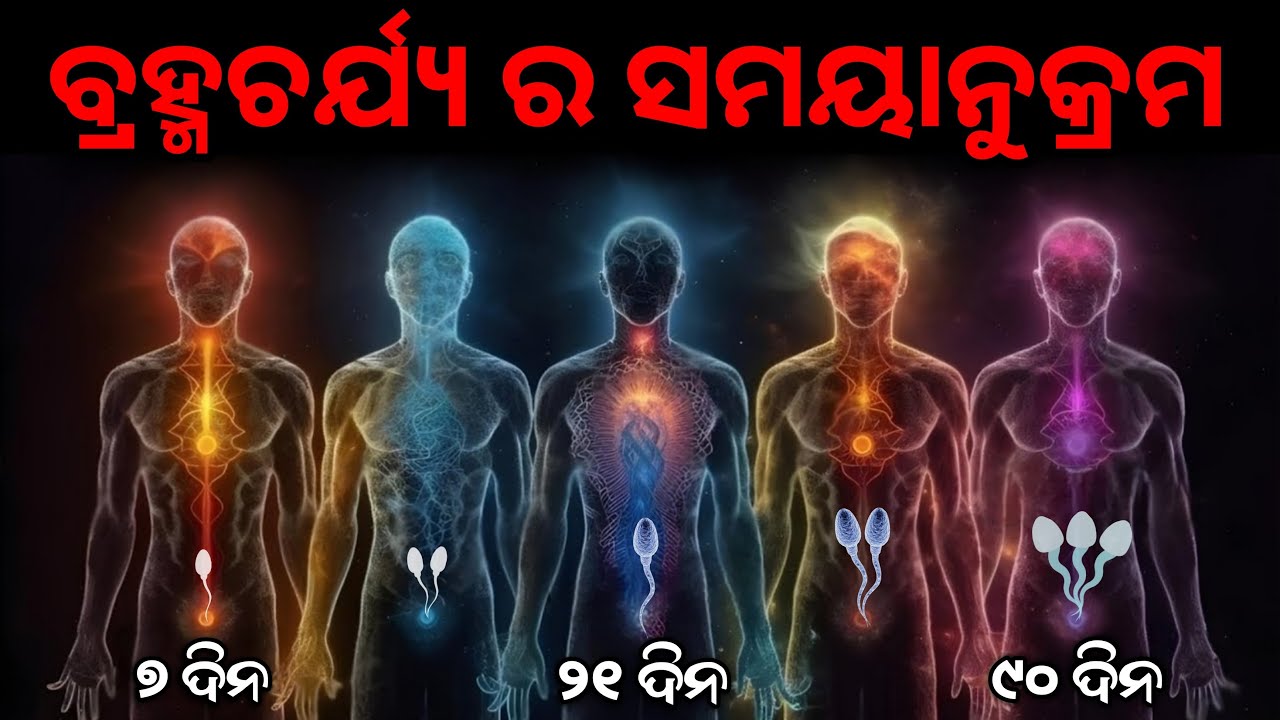 Brahmacharya Timeline Odia | Brahmacharya Motivation Video in Odia | Best Odia Motivational Video