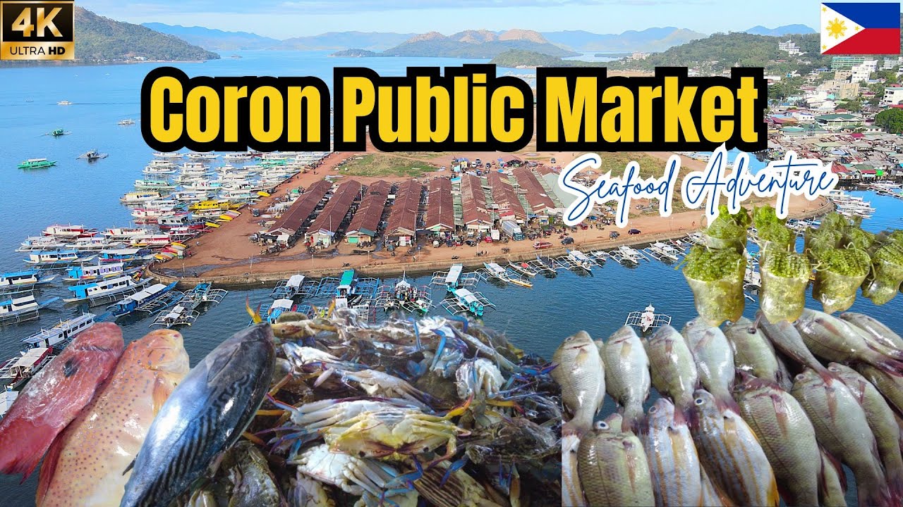 Is Seafood Cheaper in Coron Palawan?