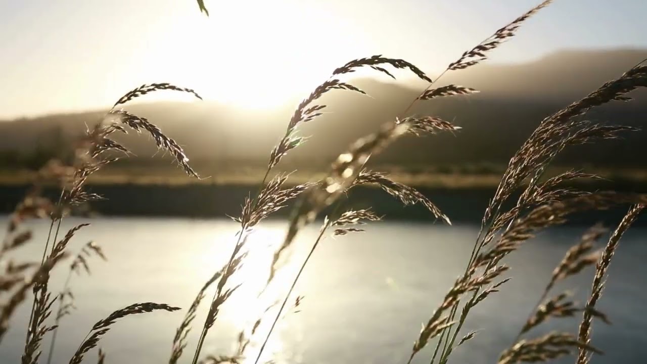 🧘&zwj;♀️ Meditaci&oacute;n guiada para calmar la ansiedad | Voz Que Inspira 🧘&zwj;♂️
