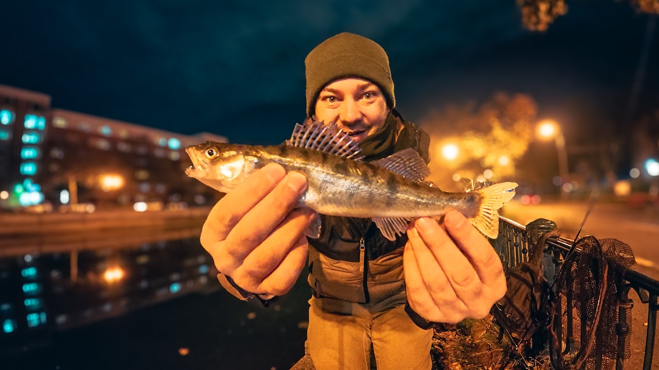 Am prins Peste la FOC AUTOMAT 🎣 - Lectie de Pescuit pe Dambovita!